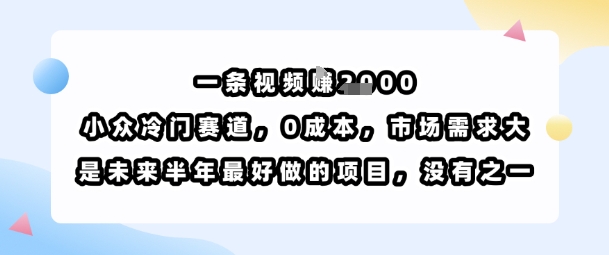 一条视频挣1k，小众冷门赛道，0成本，市场需求大，是未来半年最好做的项目，没有之一-创新社-资源网-最新项目分享网站