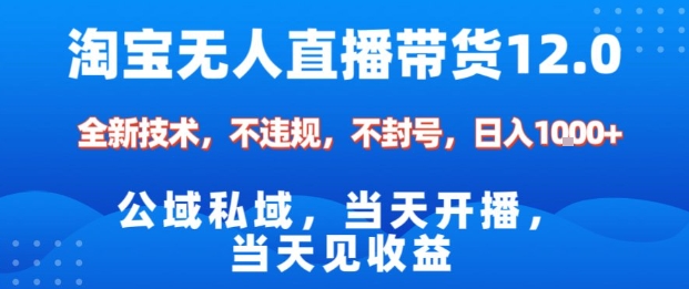 淘宝无人直播12.0，公域私域技术，不封号，不违规布局双十一流量风口，日入1k(独家技术)【揭秘】-创新社-资源网-最新项目分享网站