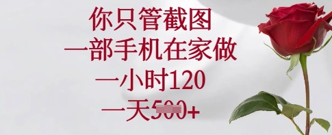 你只管截图，一部手机在家做，一小时120.一天5张【揭秘】-创新社-资源网-最新项目分享网站
