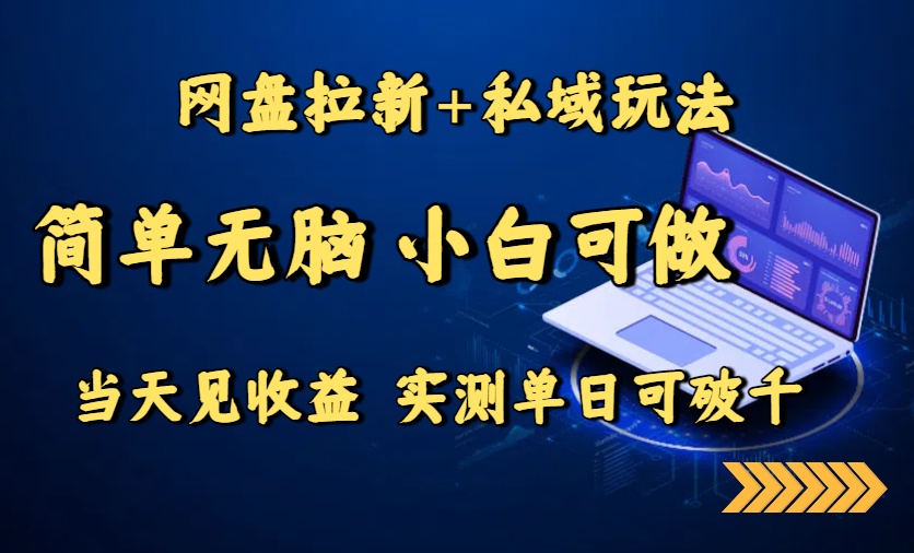 网盘拉新+私域玩法，简单无脑，小白可做，当天见收益，实测单日可破千-创新社-资源网-最新项目分享网站
