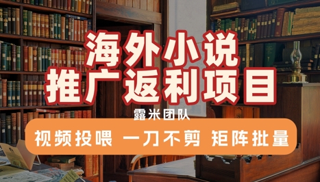 海外小说推广返利项目，视频投喂， 一刀不剪，矩阵批量-创新社-资源网-最新项目分享网站
