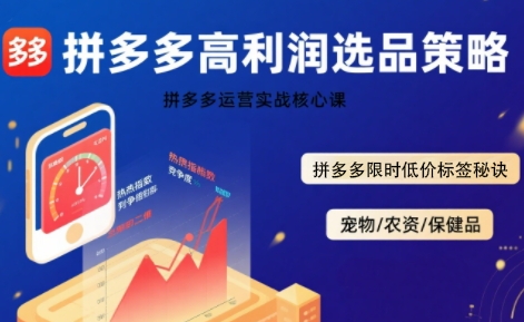 拼多多选品暴利技术实战课，拼多多高利润选品策略，拼多多限时低价标签秘诀-创新社-资源网-最新项目分享网站
