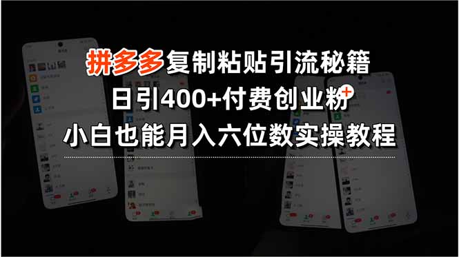 拼多多复制粘贴引流秘籍，日引400+付费创业粉，小白也能月入六位数实操…-创新社-资源网-最新项目分享网站
