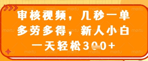 审核视频，几秒一单，多劳多得，新人小白一天轻松3张【揭秘】-创新社-资源网-最新项目分享网站
