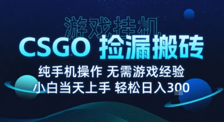 8月最新游戏搬砖，CSGO纯挂G，不需要玩游戏，实现真挂G，月入1W+【揭秘】-创新社-资源网-最新项目分享网站