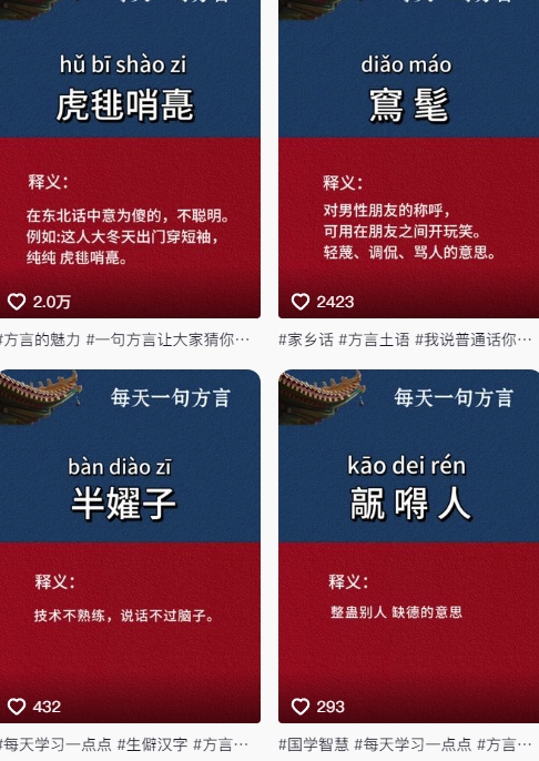 抖音最新涨粉玩法，图文方言暴力涨粉实操，126作品涨粉11W-创新社-资源网-最新项目分享网站
