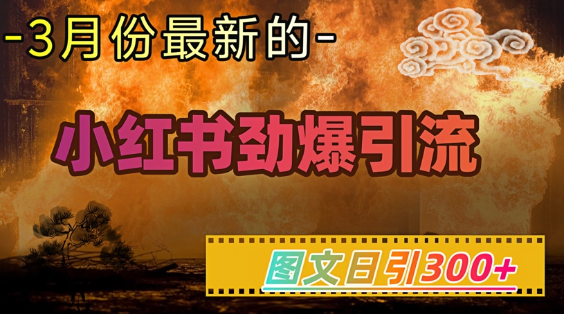 小红书超劲爆引流手段，图文日引300+轻松变现1W-创新社-资源网-最新项目分享网站