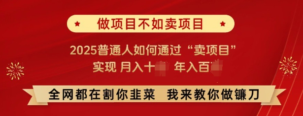 必看，做项目不如卖项目，2025普通人如何通过“卖项目”实现月入十个，年入百个-创新社-资源网-最新项目分享网站