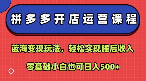 拼多多开店运营课程：蓝海变现玩法，轻松实现睡后收入，零基础小白也可日入5张-创新社-资源网-最新项目分享网站