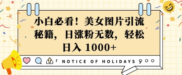 小白必看，美女图片引流秘籍，日涨粉无数，轻松日入几张【揭秘】-创新社-资源网-最新项目分享网站
