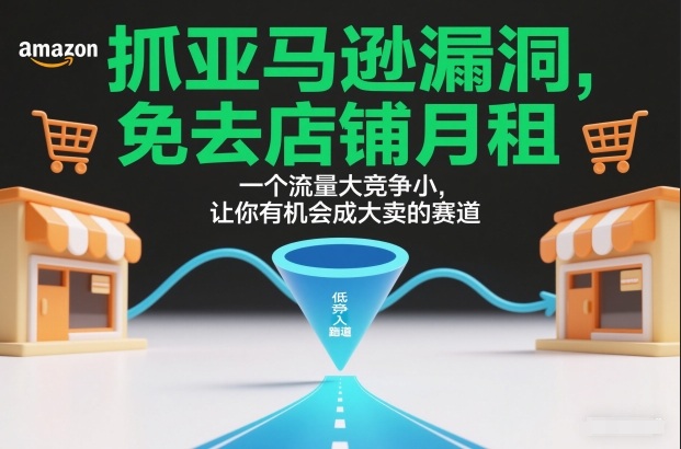抓亚马逊漏洞，免去店铺月租，一个流量大竞争小，让你有机会成大卖的赛道-创新社-资源网-最新项目分享网站