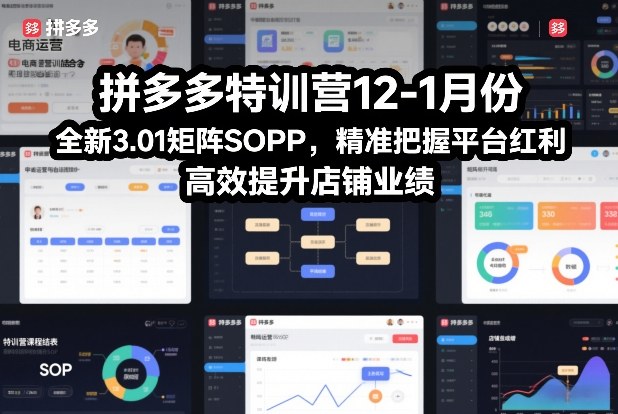 拼多多特训营12-1月份，全新3.01矩阵Sop，精准把握平台红利，高效提升店铺业绩-创新社-资源网-最新项目分享网站