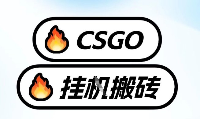真全网独家CSGO挂G,最新玩法,单日捡漏1K+,不用电脑,不用打游戏【揭秘】-创新社-资源网-最新项目分享网站