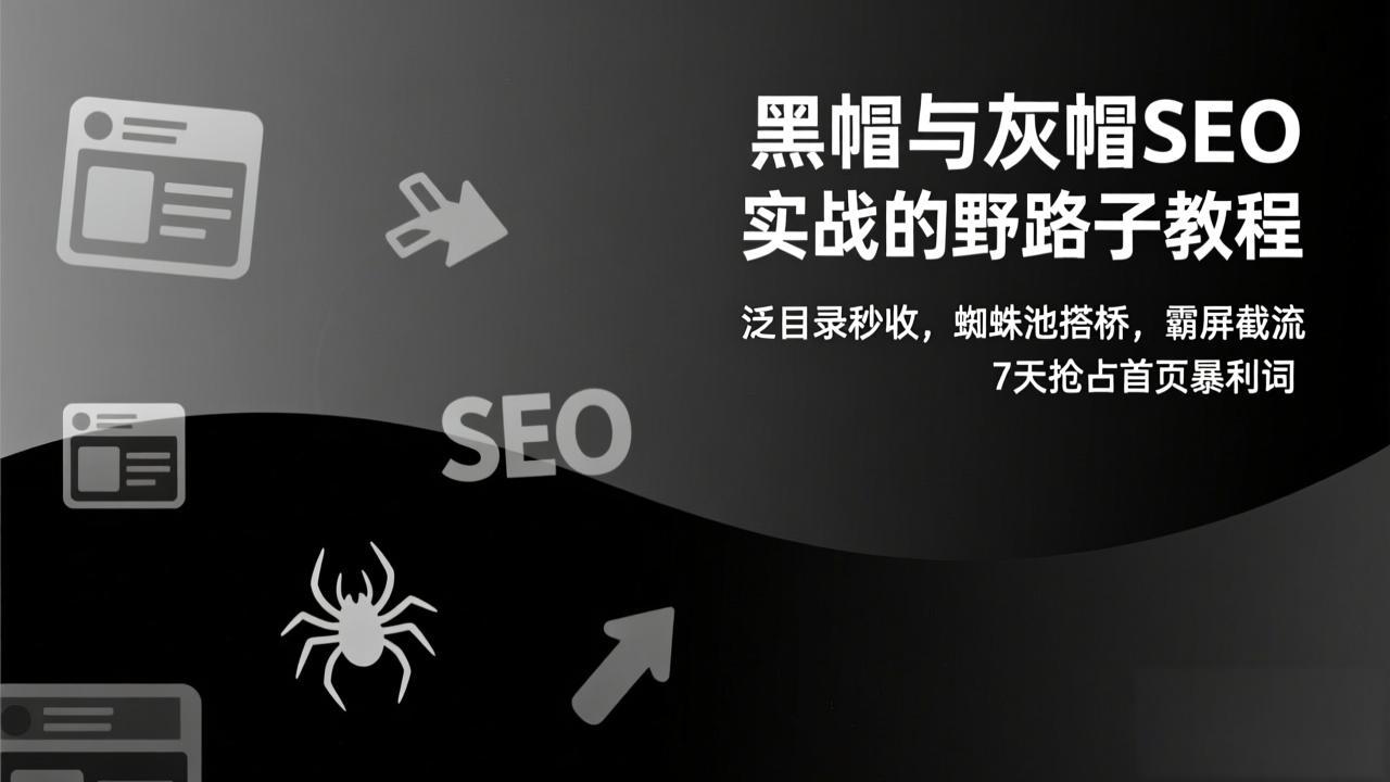 黑帽与灰帽SEO实战的野路子教程:泛目录秒收,蜘蛛池搭桥,霸屏截流,7天抢占首页暴利词-创新社-资源网-最新项目分享网站