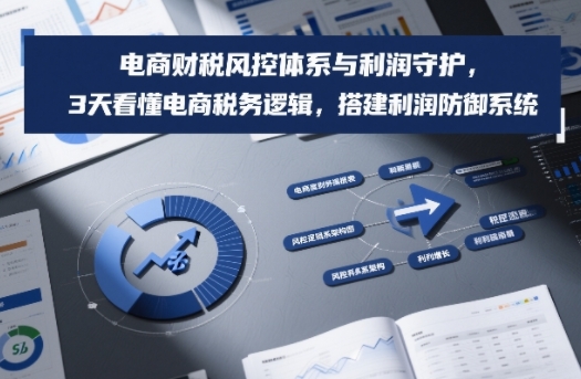 电商财税风控体系与利润守护,3天看懂电商税务逻辑,搭建利润防御系统-创新社-资源网-最新项目分享网站