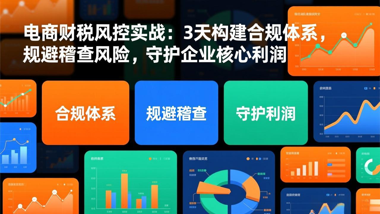 电商财税风控实战:3天构建合规体系,规避稽查风险,守护企业核心利润-创新社-资源网-最新项目分享网站