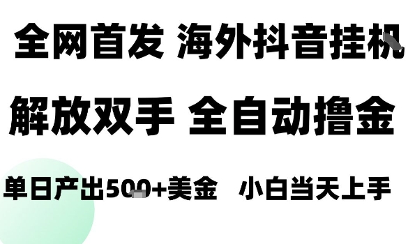 海外抖音无人直播，单日产出1.5k+，长期稳定，新手可玩，无脑操作【揭秘】-创新社-资源网-最新项目分享网站