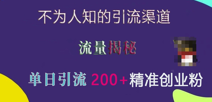 不为人知的引流渠道，流量揭秘，实测单日引流200+精准创业粉【揭秘】-非凡网-资源网-最新项目分享平台