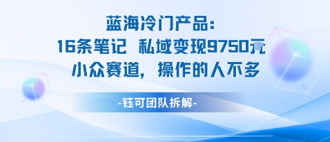 蓝海项目:16条笔记私域变现9750米小众赛道操作的人不多-创新社-资源网-最新项目分享网站