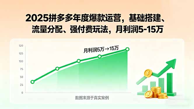 2025拼多多年度爆款运营，基础搭建、流量分配、强付费玩法，月利润5-15万-创新社-资源网-最新项目分享网站