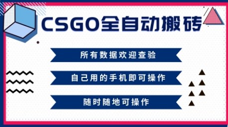 CSGO全自动搬砖,年底钱回家好项目,当天可拿到结果,新手小白轻松月入1W+【揭秘】-创新社-资源网-最新项目分享网站