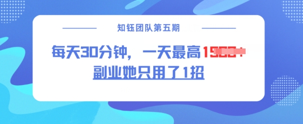 副业她只用了1招，每天30分钟，无脑二创，一天最高1.5k-创新社-资源网-最新项目分享网站