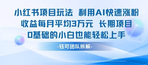 适合小白操作的小红书新项目，利用AI快速涨粉，收益每月平均1W+-创新社-资源网-最新项目分享网站
