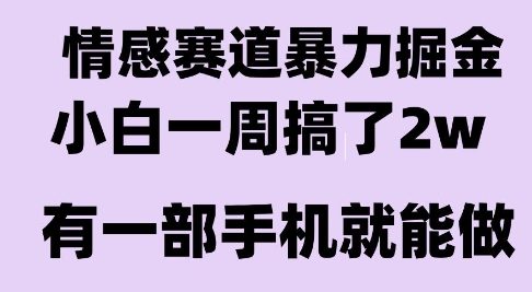 情感暴力掘金项目，新人操作一周挣了2W，长期稳定小白可做【揭秘】-创新社-资源网-最新项目分享网站