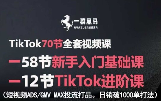 TikTok全套视频课，新手入门+进阶课，短视频ADS-GMV MAX投流打品，日销破1000单打法-创新社-资源网-最新项目分享网站