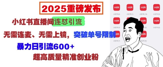 2025重磅发布：小红书直播间连怼引流，无需连麦、无需上镜，突破单号限制，暴力日引流600+-创新社-资源网-最新项目分享网站