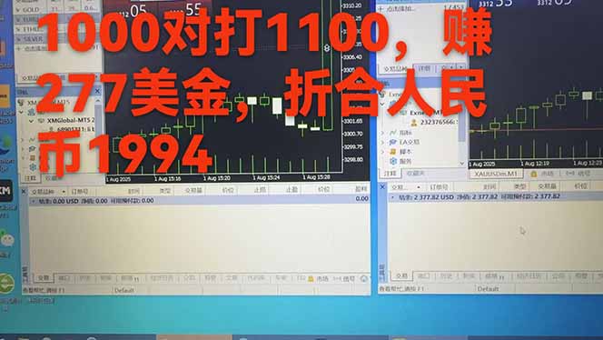 稳定8年的美刀搬砖项目，单人每日收益800—3000.团队4人月入10W+.可线下-创新社-资源网-最新项目分享网站