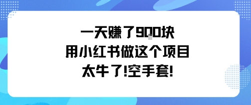 一天挣了9张用小红书做这个项目太牛了，空手套-创新社-资源网-最新项目分享网站