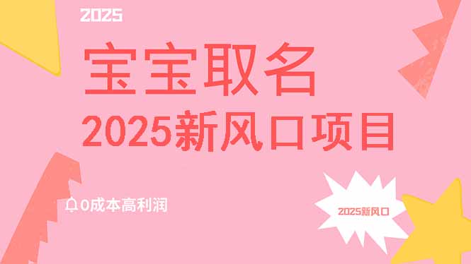 2025新风口项目宝宝取名，0成本高利润，附保姆级教程，月入过万不是梦-创新社-资源网-最新项目分享网站