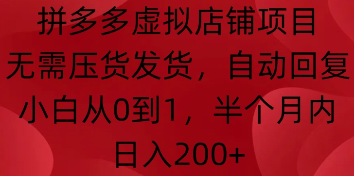 拼多多虚拟店铺项目，无需压货发货，自动回复，小白从0到1，半个月内日入200+【揭秘】-创新社-资源网-最新项目分享网站