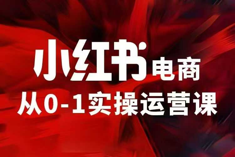 小红书电商运营，97节小红书vip内部课，带你实现小红书赚钱-创新社-资源网-最新项目分享网站