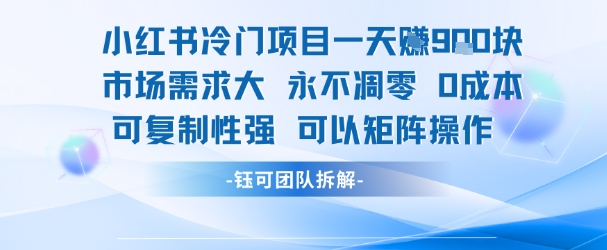 小红书冷门项目一天收益9张，市场需求大，0成本，可复制性强可以矩阵操作-创新社-资源网-最新项目分享网站