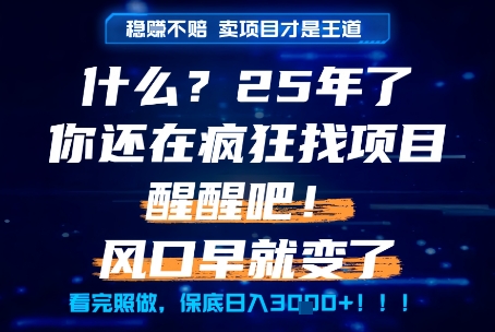 什么？25年你还在疯狂找项目做，醒醒吧，看完这些你全都懂了！【揭秘】-创新社-资源网-最新项目分享网站