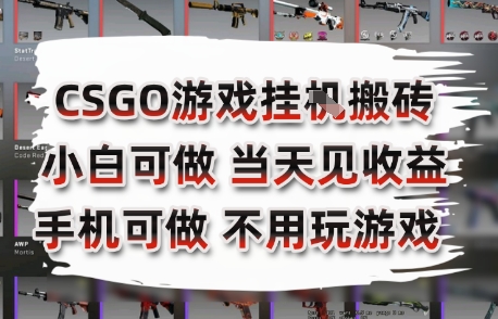 CSGO游戏挂G搬砖，小白纯手机即可操作，不用电脑打游戏，日入3张+，副业网创项目【揭秘】-创新社-资源网-最新项目分享网站