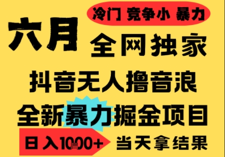 25年6月高爆抖音无人直播最新撸音浪掘金项目，小白可做，无脑日入1k+，门槛低可批量矩阵【揭秘】-创新社-资源网-最新项目分享网站