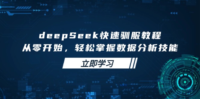 deepSeek快速驯服教程，从零开始，轻松掌握数据分析技能-创新社-资源网-最新项目分享网站