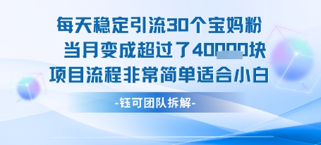 每天稳定引流30个人 当月变成超过了4个W项目流程非常简单适合小白-创新社-资源网-最新项目分享网站