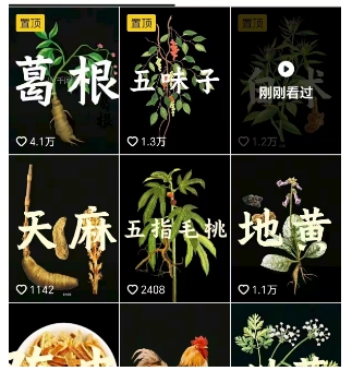 抖音中草药赛道，用AI做中草药故事视频，45条作品涨粉13W，橱窗带货猛猛出单-创新社-资源网-最新项目分享网站