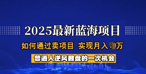 2025蓝海项目，普通人如何通过卖项目，实现月入过W，全过程【揭秘】-创新社-资源网-最新项目分享网站