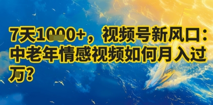 7天收益1k+，视频号新风口：中老年情感视频如何月入过W?-创新社-资源网-最新项目分享网站