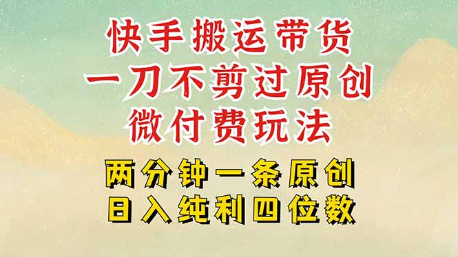 快手黑科技搬运带货，一刀不剪过原创，微付费投流玩法，轻松日入四位数…-创新社-资源网-最新项目分享网站
