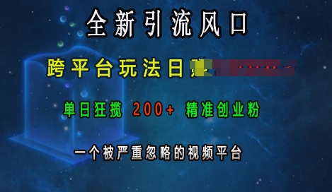 全新引流风口，跨平台玩法日入上k，单日狂揽200+精准创业粉，一个被严重忽略的视频平台-创新社-资源网-最新项目分享网站