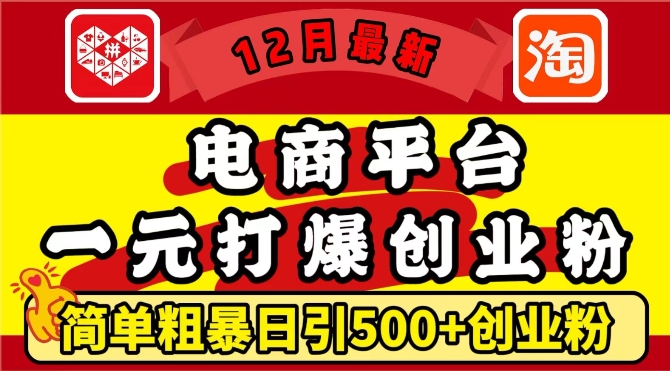 12月最新：电商平台1元打爆创业粉，简单粗暴日引500+精准创业粉，轻松月入过W【揭秘】-创新社-资源网-最新项目分享网站