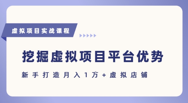 抓住虚拟项目各平台优势，新手轻松月入1W+(给出具体建议)-创新社-资源网-最新项目分享网站