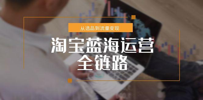 淘宝蓝海运营全链路，从选品到流量变现，小类目突围完整方案-创新社-资源网-最新项目分享网站