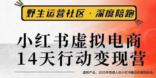 小红书虚拟电商14天变现训练营3.0,虚拟产品,2025年普通人在小红书最后的搞钱机会-创新社-资源网-最新项目分享网站
